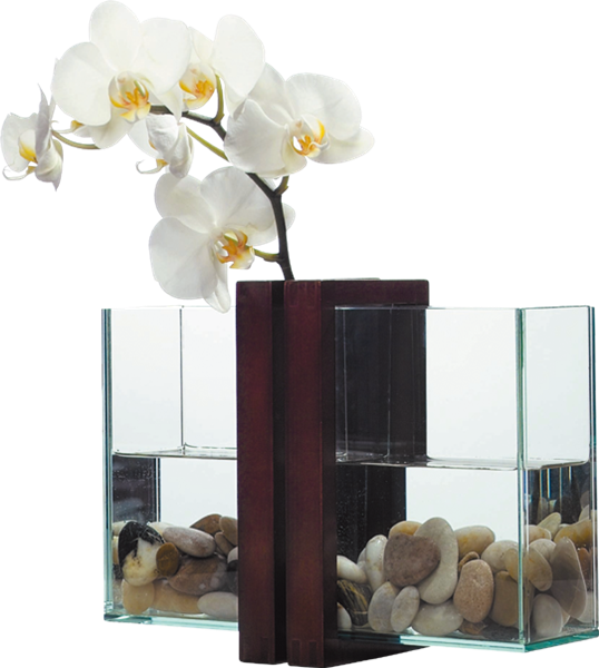 fleur107mis