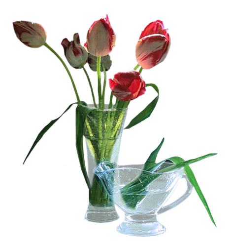 fleur412.png