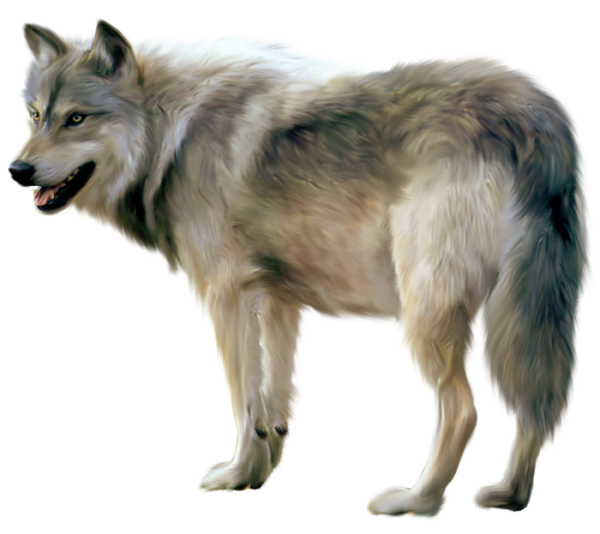 "Loup"